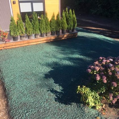 Hydroseeding produces lush, new grass quickly and economically